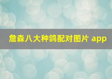 詹森八大种鸽配对图片 app